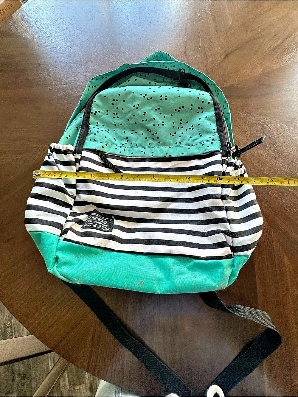 Eastport Polka Dot Stripe Backpack in Mint Green & Black